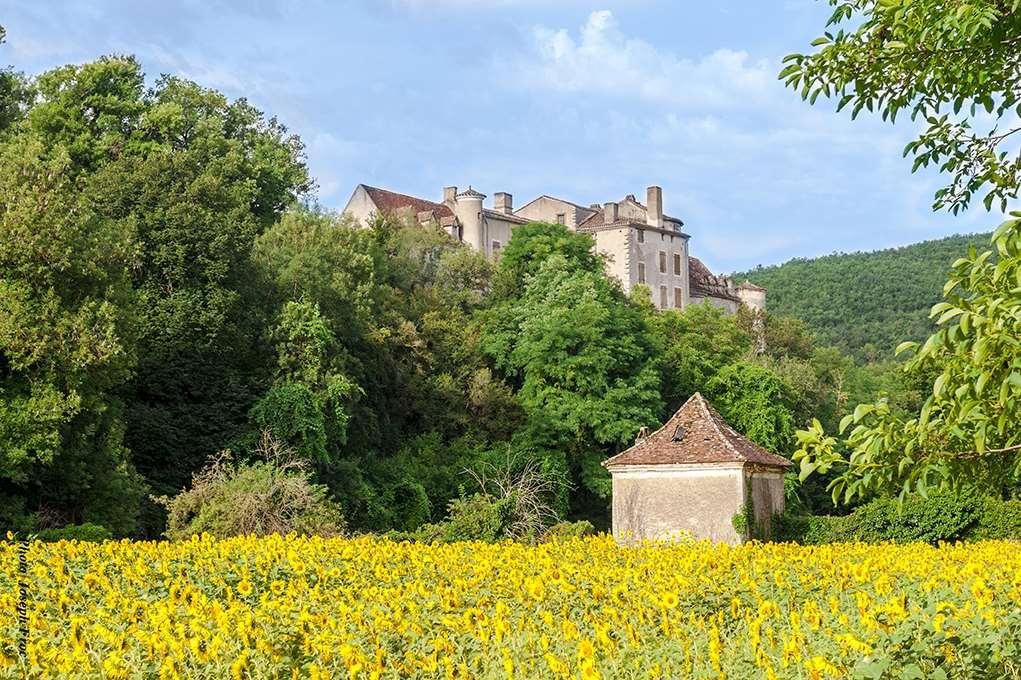 Brit Hotel Cahors - Le France Exterior foto